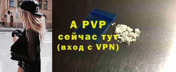 apvp Белокуриха